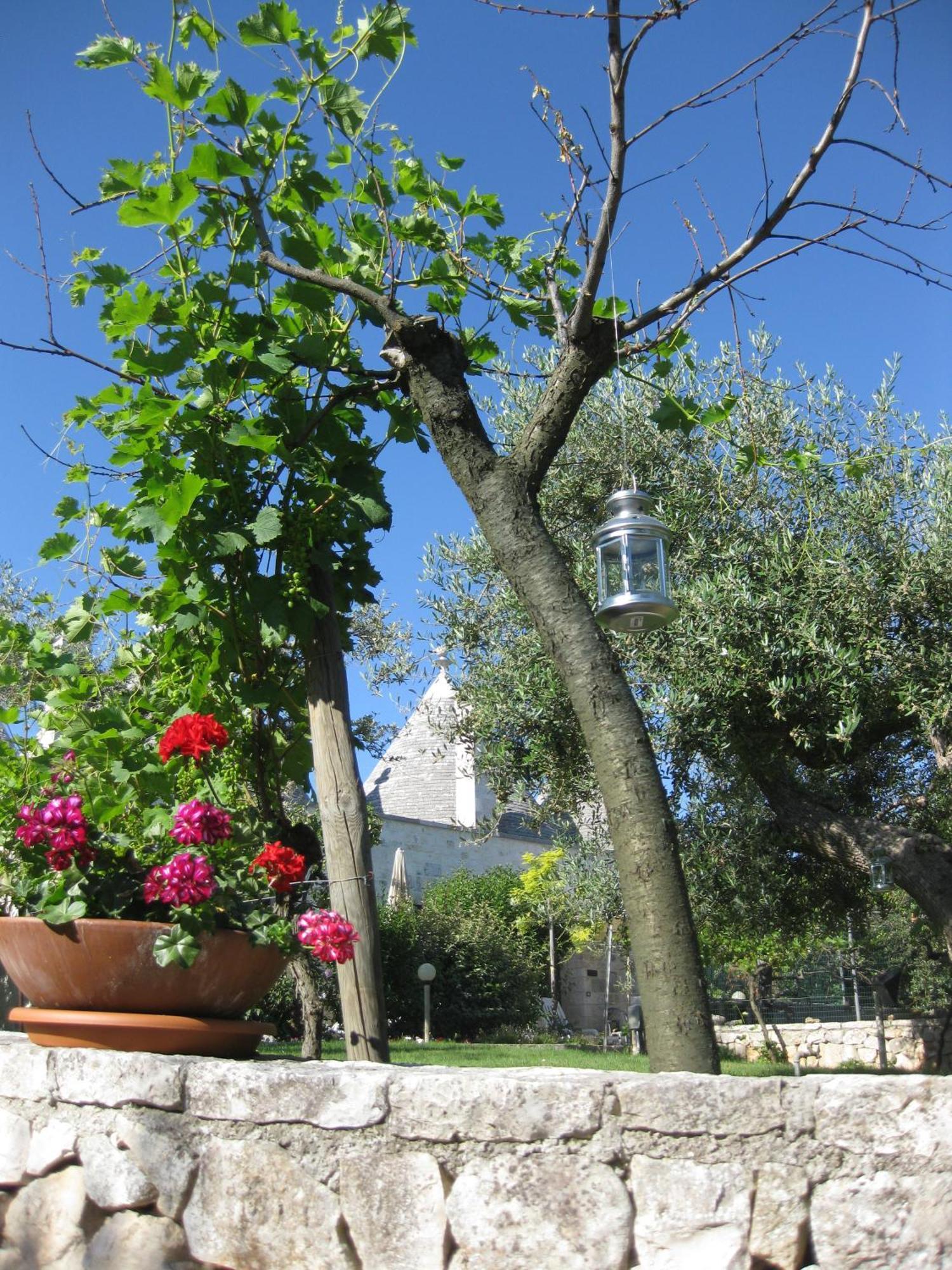 Truddhi Casa E Cucina Di Puglia Aparthotel Locorotondo Exterior foto